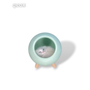 Little Pet House Masa Lambası, Gece Lambası, Abajur