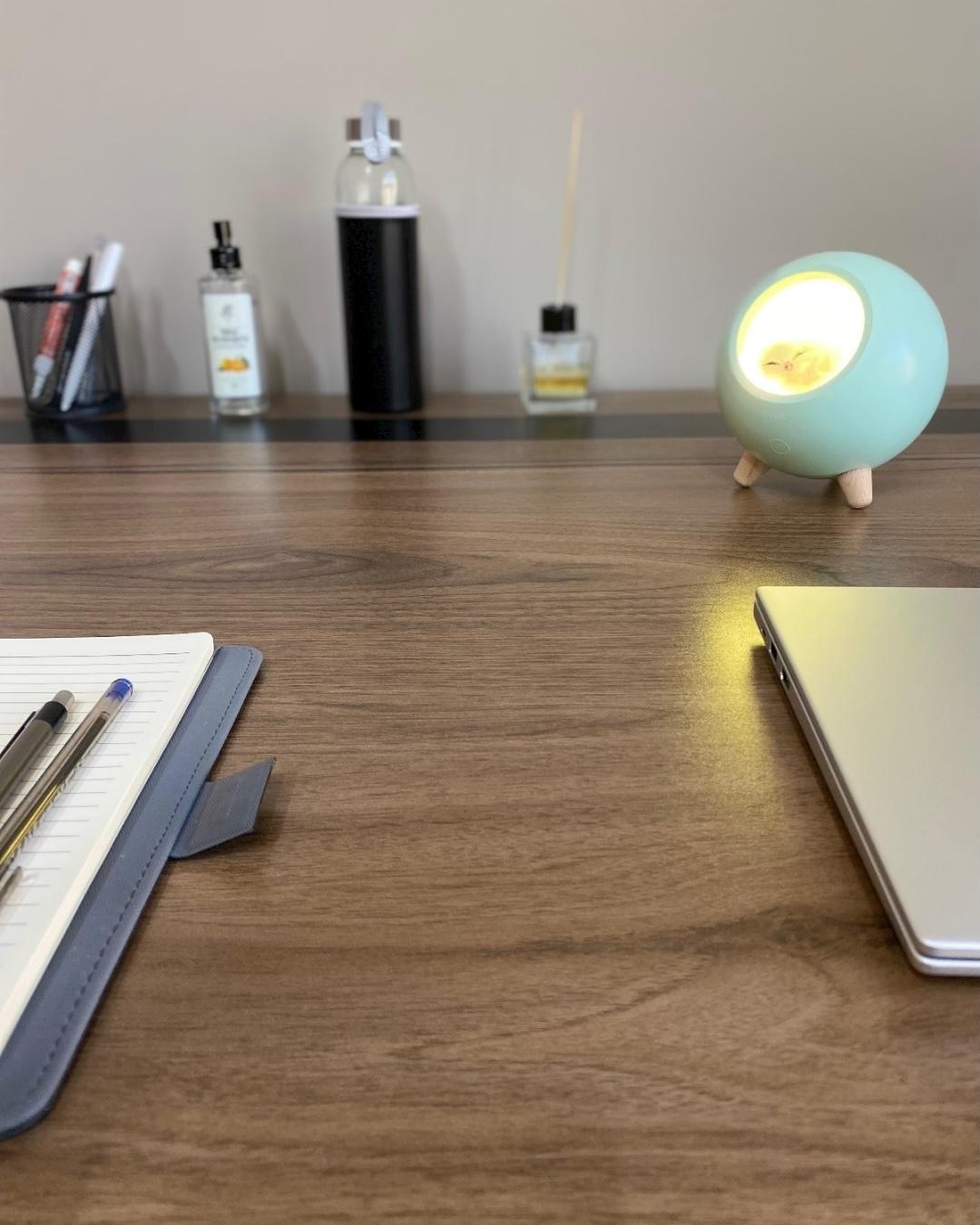 Little Pet House Masa Lambası, Gece Lambası, Abajur